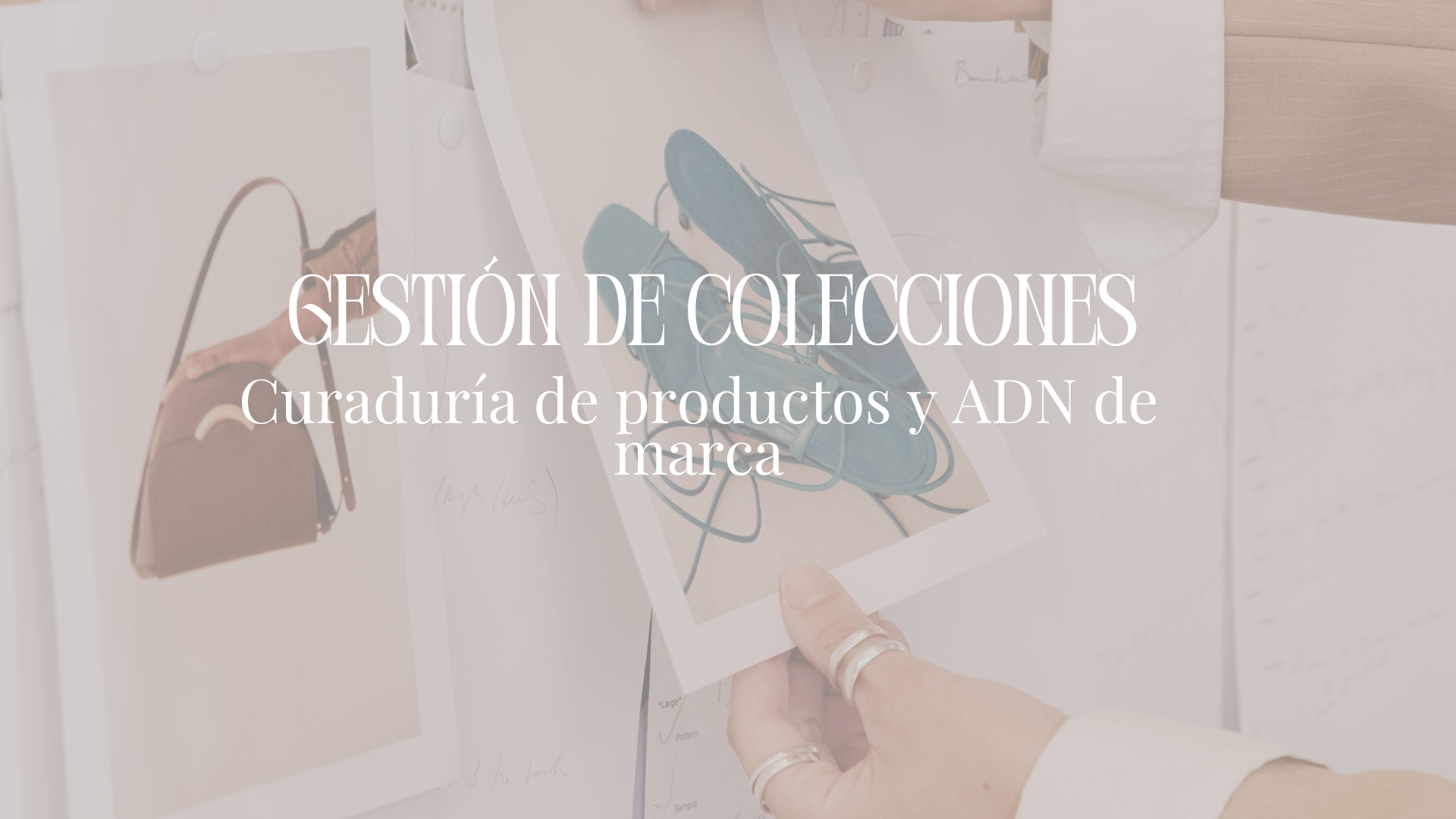 Gestión de Colecciones